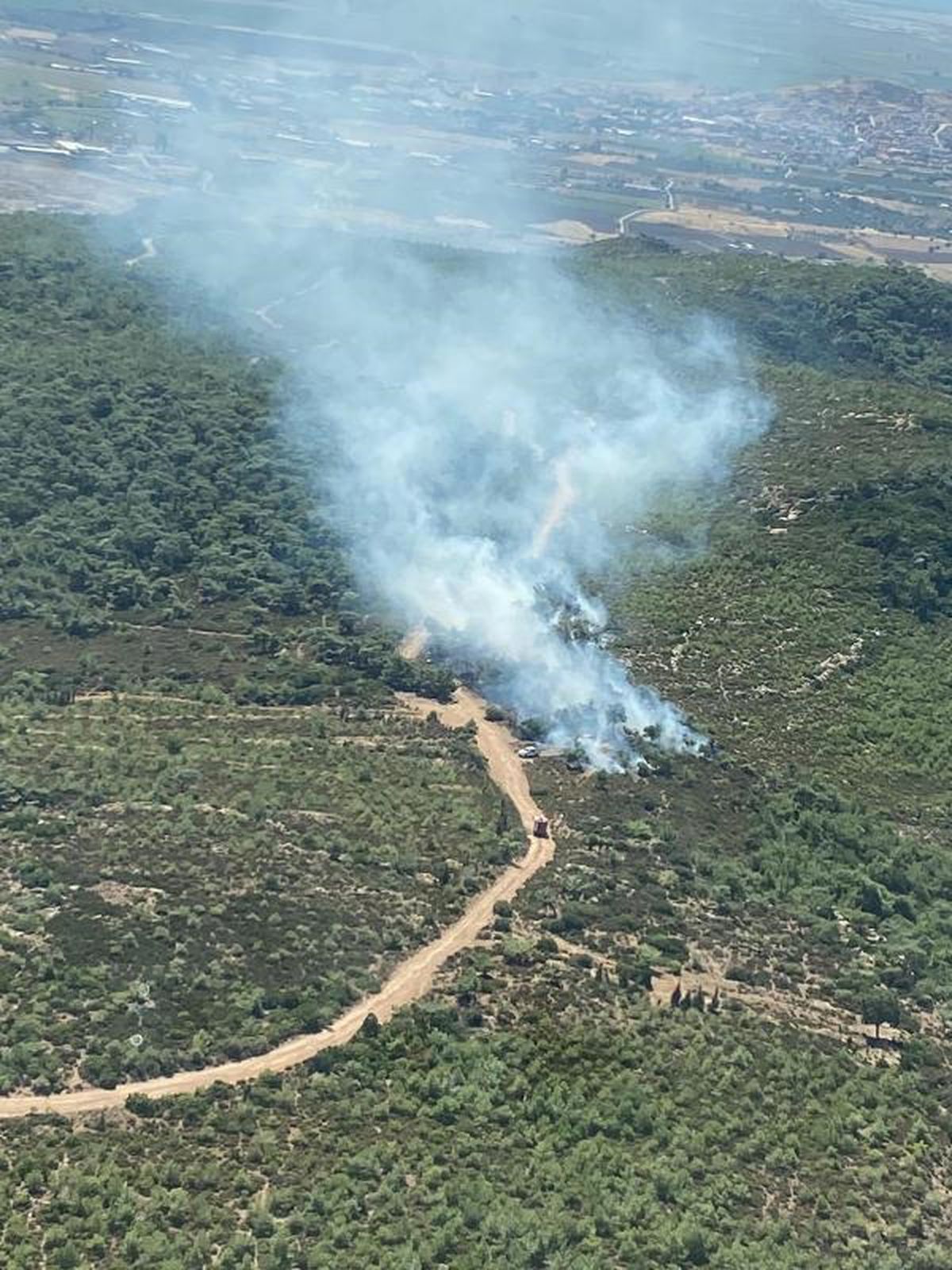 Foça'da Ormanda Yangın Çıktı