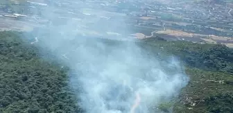 İzmir Foça'da orman yangını çıktı