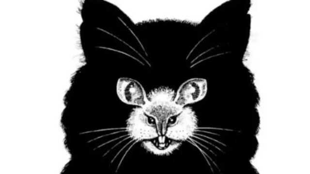 Kedi mi yoksa fare mi? İlk gördüğünüz hayvana göre kişilik özelliğiniz ortaya çıkıyor Kedi mi yoksa fare mi? İlk gördüğünüz hayvana göre kişilik özelliğiniz ortaya çıkıyor