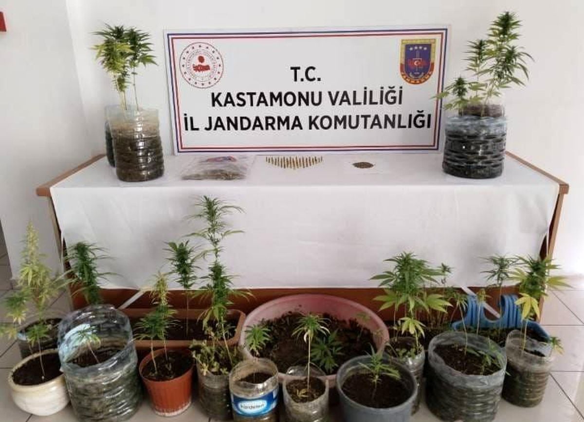 Kastamonu'da Uyuşturucu Operasyonu: Şahıs Otobüste Yakalandı