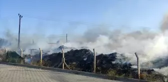 Yalova'da otluk alanda çıkan yangın söndürüldü