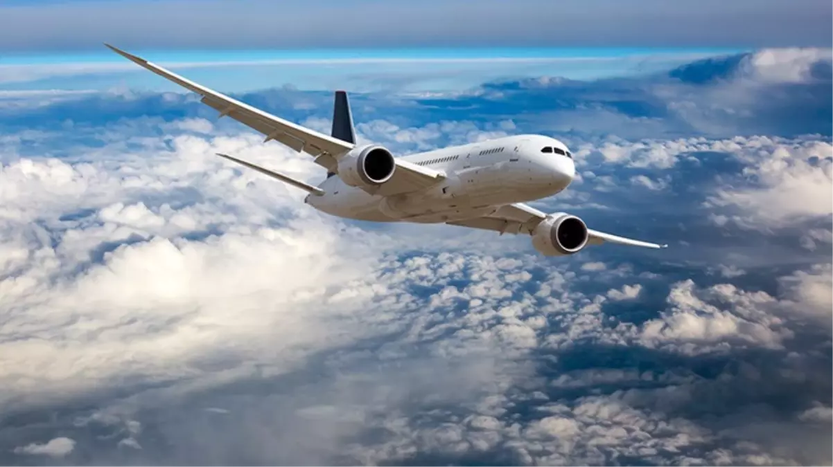 Uçağın tuvaletinde cinsel ilişkiye giren çifte diğer yolcular tezahürat yaptı