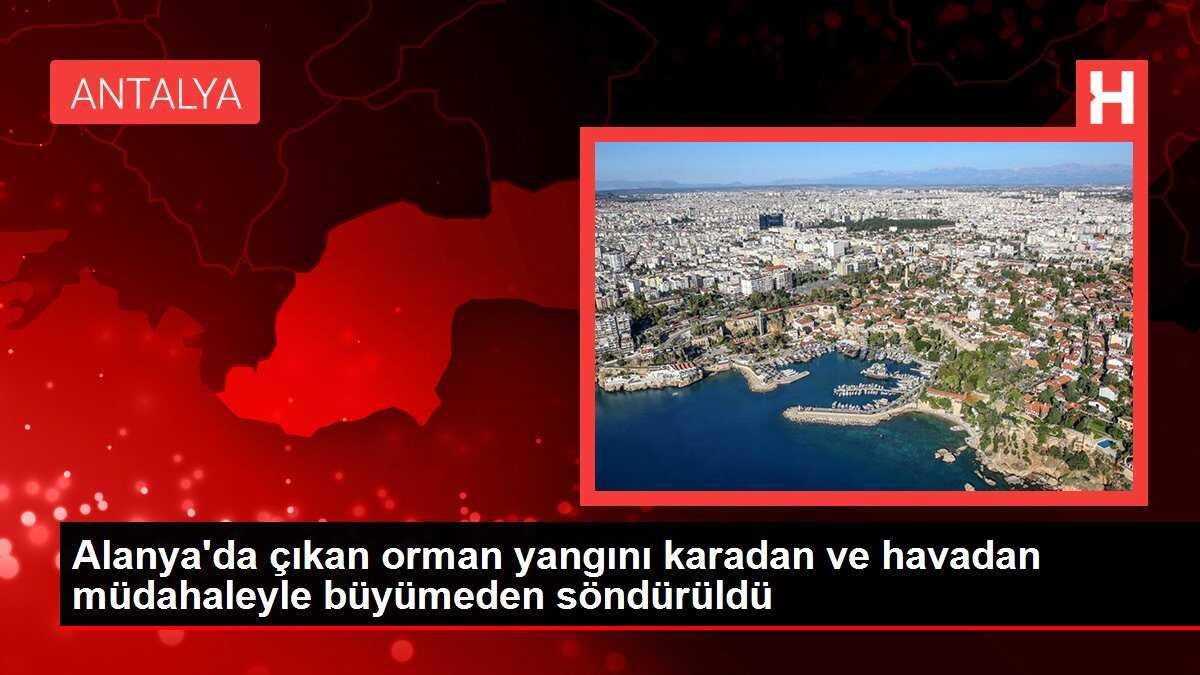 Alanya'da çıkan orman yangını karadan ve havadan müdahaleyle büyümeden söndürüldü
