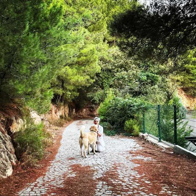 Aslıhan Gürbüz'den 'Evlenip iki çocuk yapmalısın' diyen takipçisine sert tepki: Bu hesaptan defolup gitmelisin