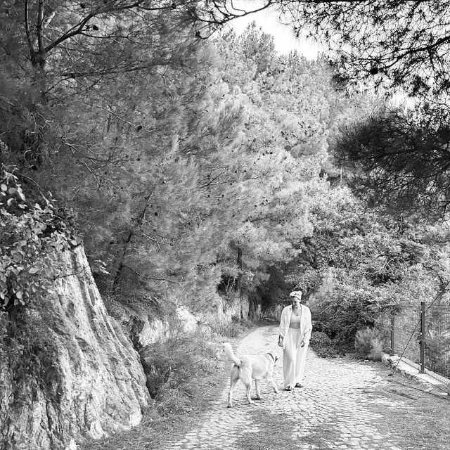 Aslıhan Gürbüz'den 'Evlenip iki çocuk yapmalısın' diyen takipçisine sert tepki: Bu hesaptan defolup gitmelisin