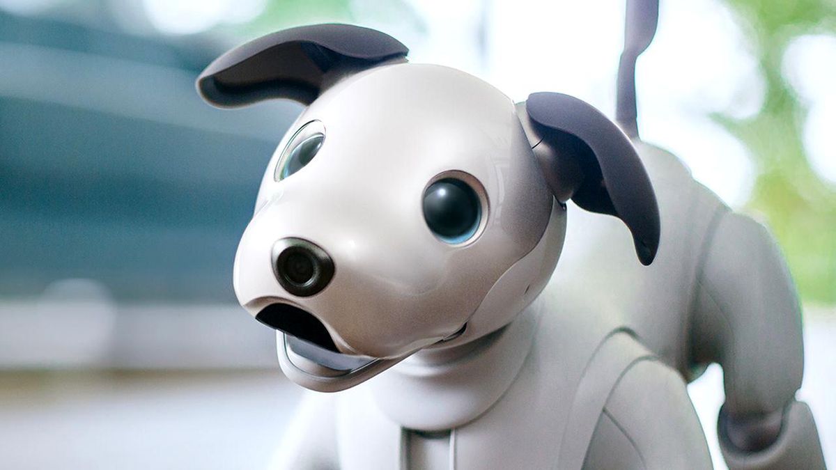 Sony, yaşlanan robot köpekler için ilginç bir program başlatıyor
