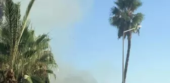 Antalya'da Yalım Park'ta çıkan yangın kontrol altına alındı