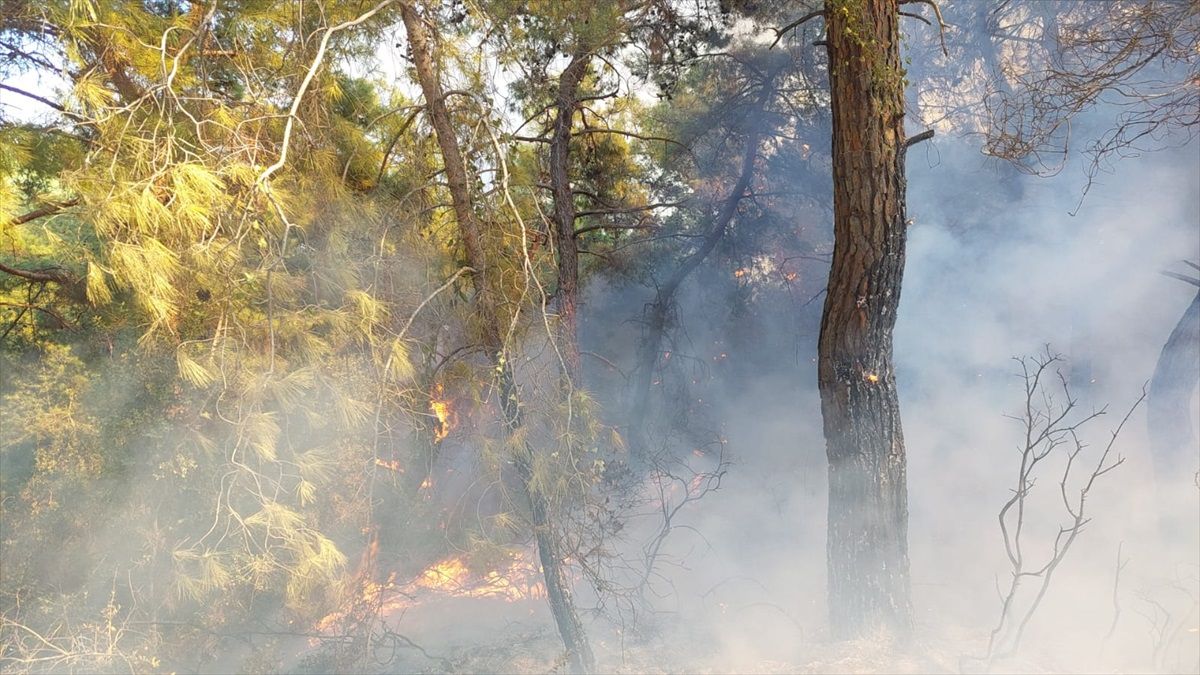 Manavgat'ta Orman Yangınına Müdahale Ediliyor