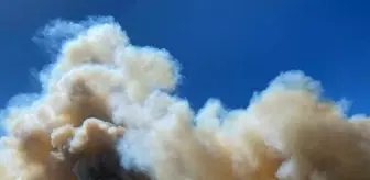 Soma'da Orman Yangını Çıktı