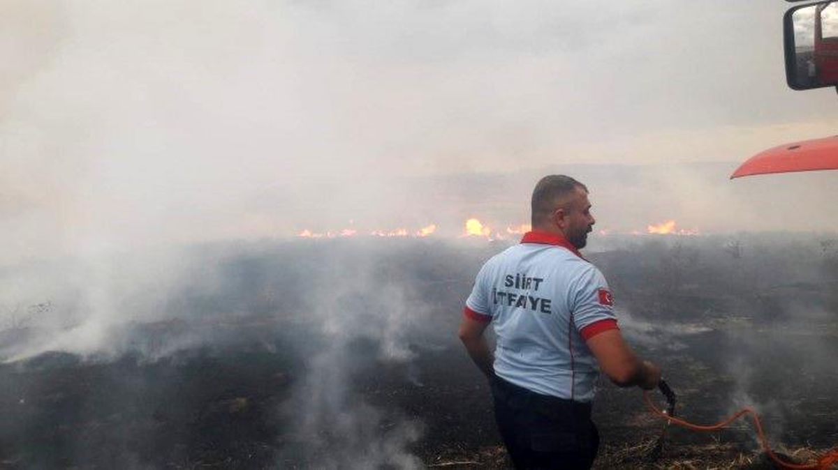 Siirt'te anız yangını