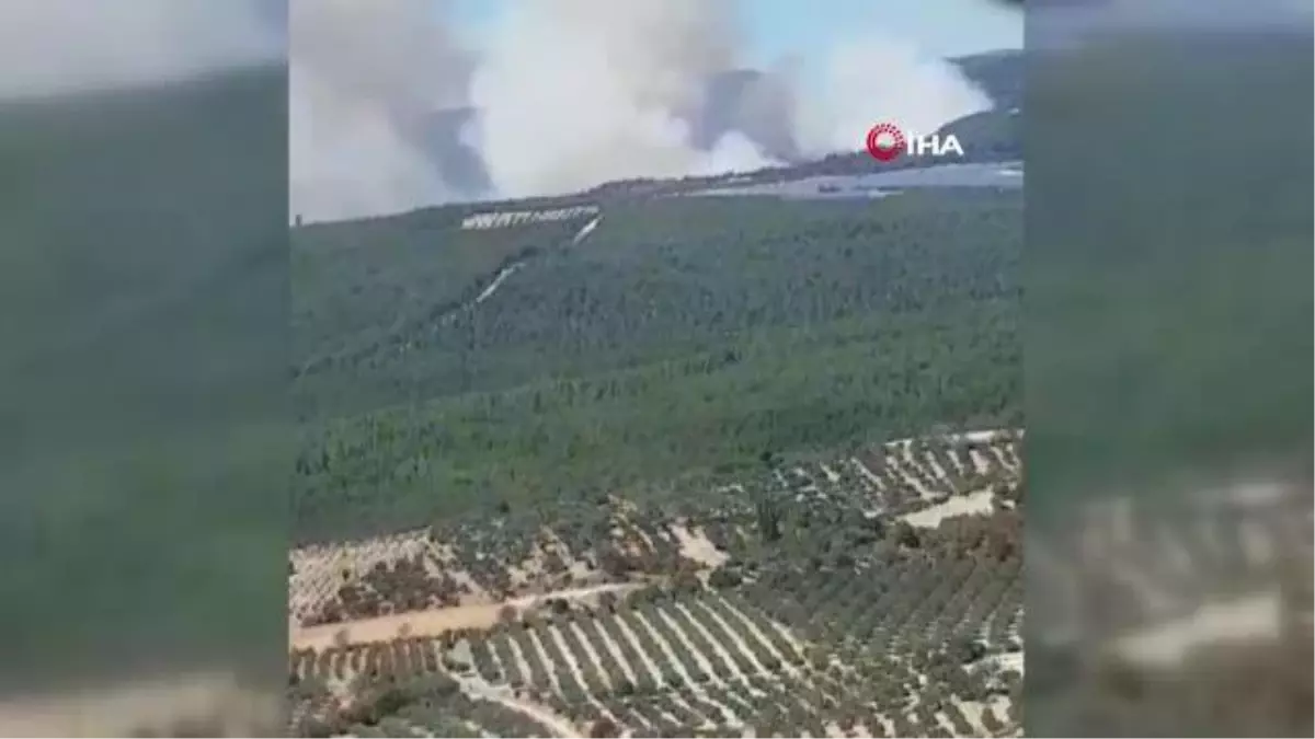 Soma'da orman yangını