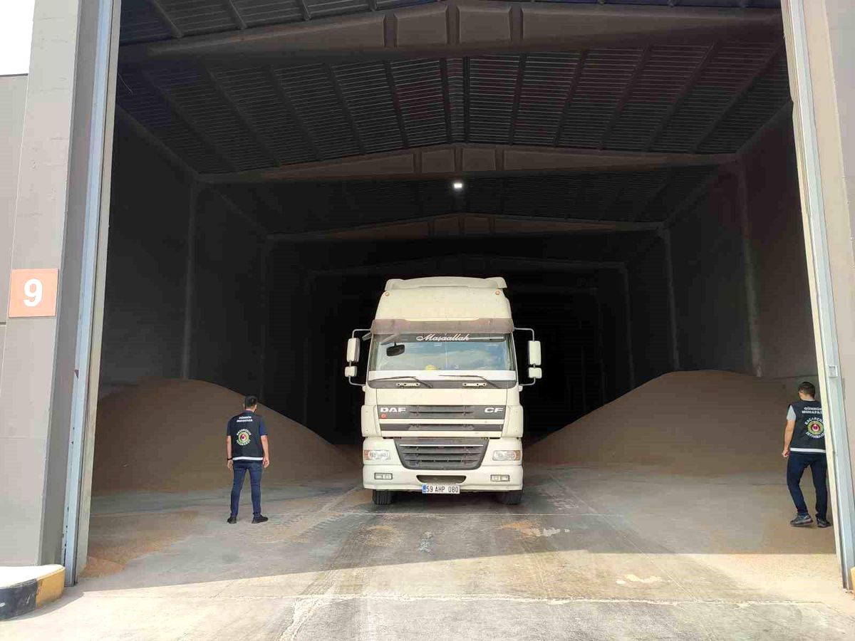 Tekirdağ'da 84 Ton Ekmek Buğdayı Kaçakçılık Operasyonu