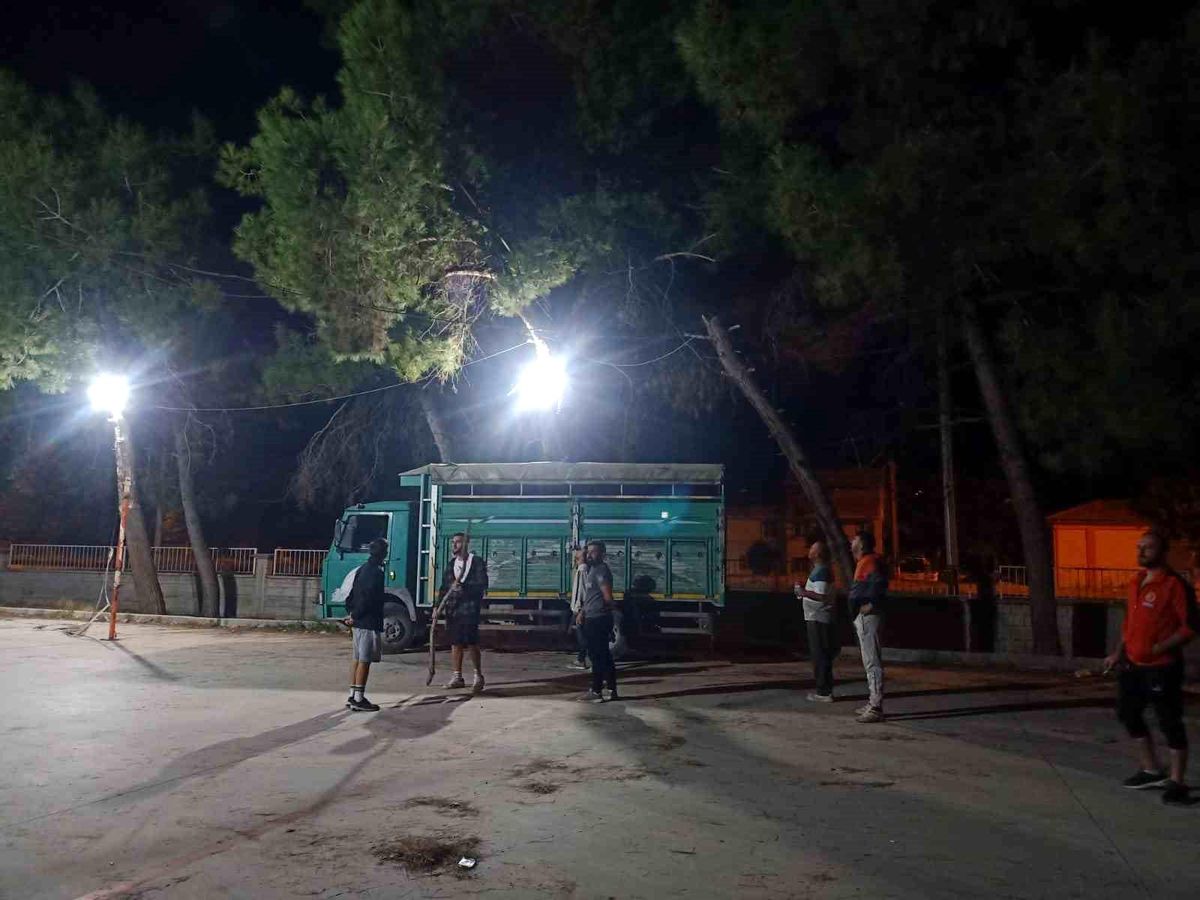 Çivril'de Voleybol Oynayan Genç Ağaçta Mahsur Kaldı