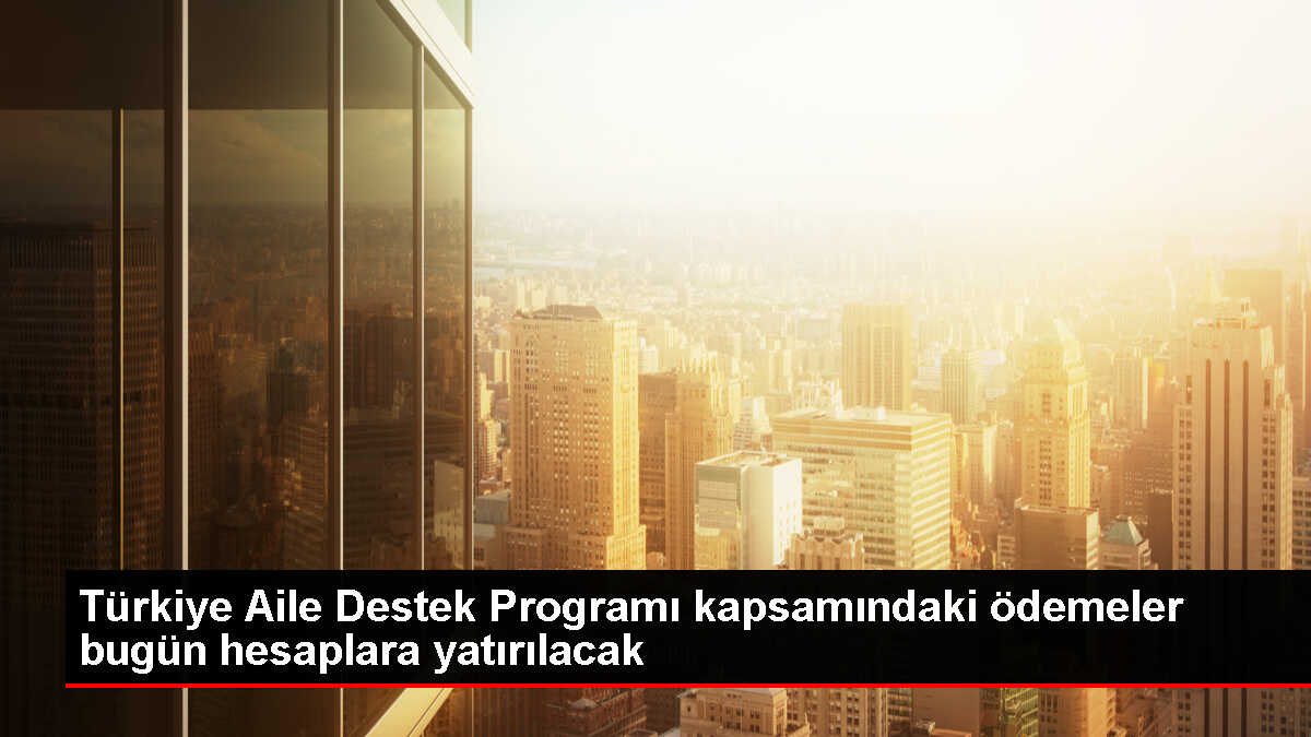 Türkiye Aile Destek Programı kapsamında ödemeler hesaplara yatırılıyor