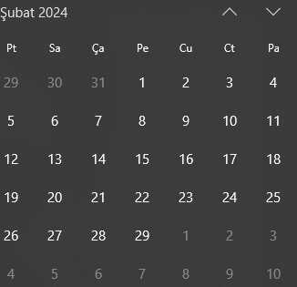 Artık yıl ne demek? 2024 Şubat ayı 28 mi 29 mu çekiyor?