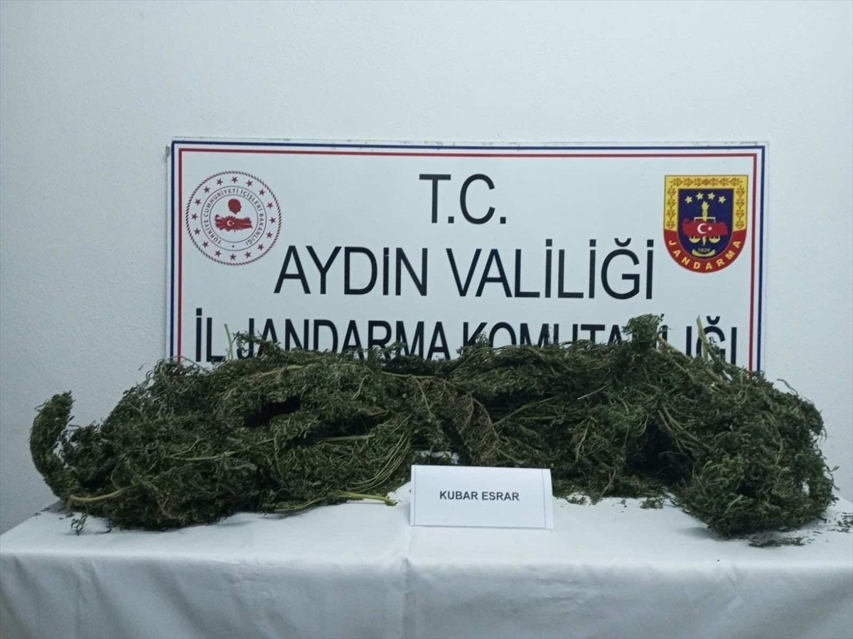 Aydın'da uyuşturucu ve kaçak tütün operasyonları