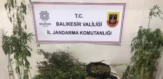 Balıkesir'de Uyuşturucu Operasyonu: 3 Kişi Yakalandı