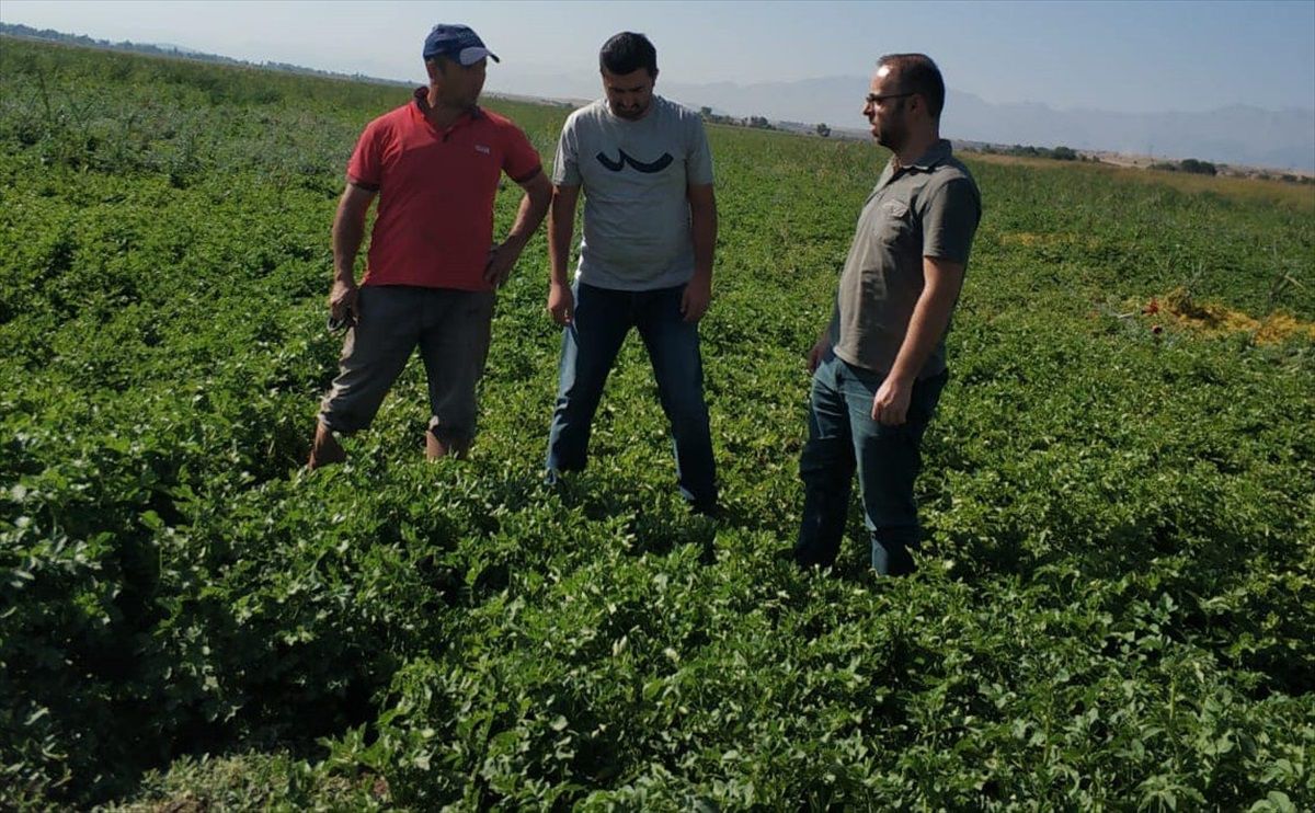 Beyşehir'de çiftçilere zararlılarla mücadelede bilgilendirme çalışmaları