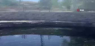 Binlerce asker balığının salındığı göl turizme kazandırılacak