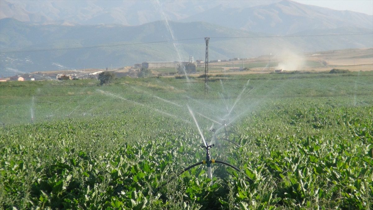 Bitlis'te çiftçiler yeni sulama sistemleriyle tasarruf sağlıyor