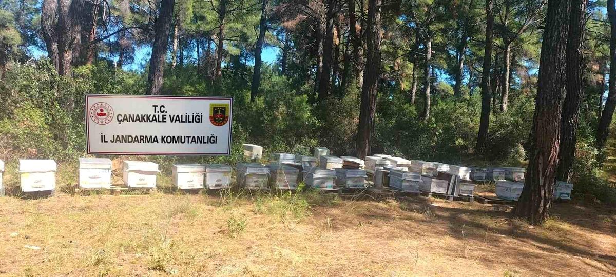 Çanakkale'de Arı Kovanı Hırsızı Yakalandı