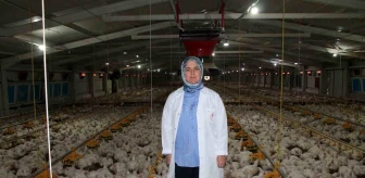 Düzce'de Kırsal Kalkınma Yatırımları ile Tavuk Üretimi Yapılıyor