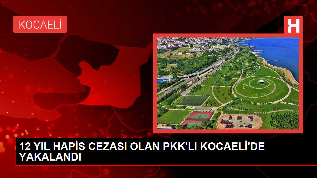 12 YIL HAPİS CEZASI OLAN PKK'LI KOCAELİ'DE YAKALANDI