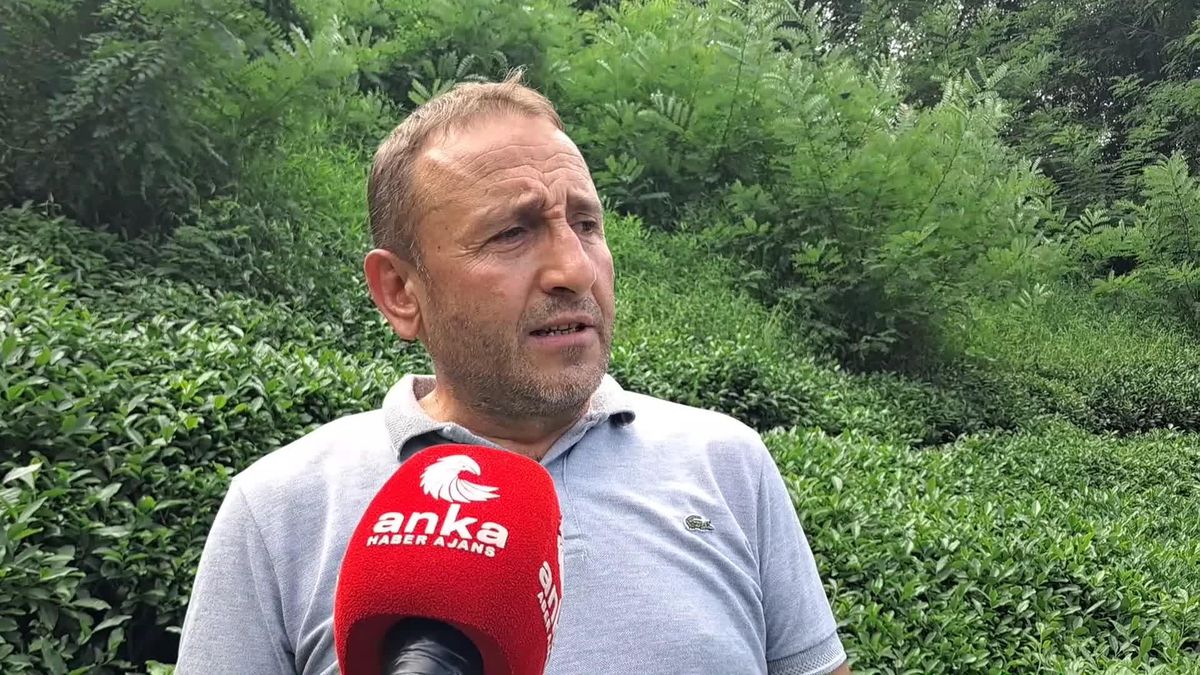 Hopa Ziraat Odası Başkanı Olcay Muti: '60 Yaşındaki Üreticimiz Makas Sallayıp Çay Topluyorsa Bunun İsmi Geçim Sıkıntısıdır'