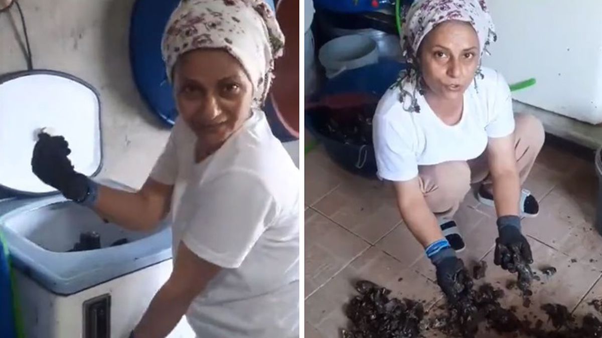 İştahla yediğimiz midyeler ne kadar temiz? Yayınlanan bir video sizi hayal kırıklığına uğratacak