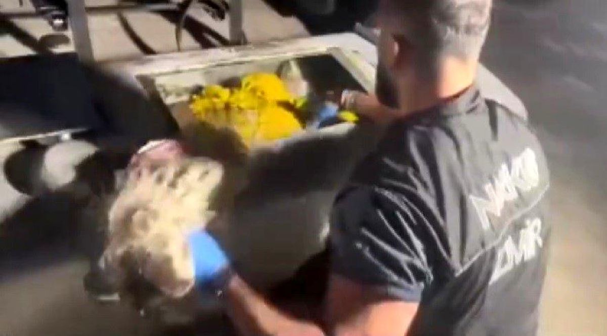 İzmir'de Tırda Skunk Esrarı Ele Geçirildi