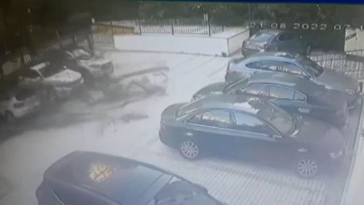 Kadıköy'de ağaç devrilmesi sonucu apartman sakinlerine icra gönderildi