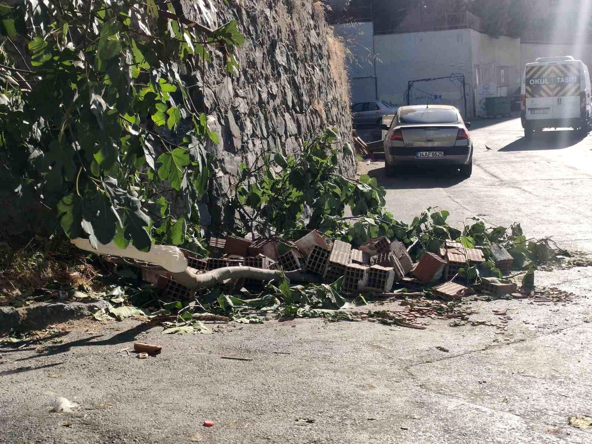 Kağıthane'de incir toplamak için duvara tırmanan 13 yaşındaki kız yaralandı