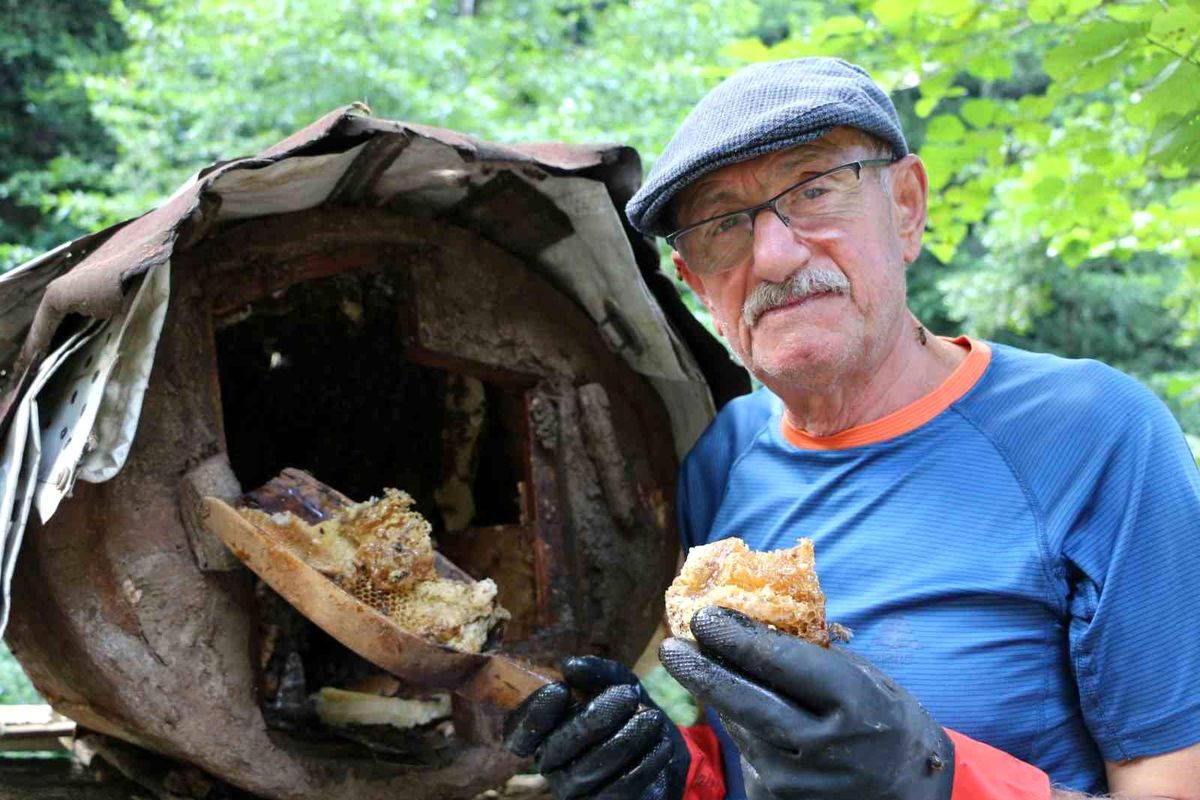Rize'de doğal kara kovan balı üretimi gerçekleştirildi