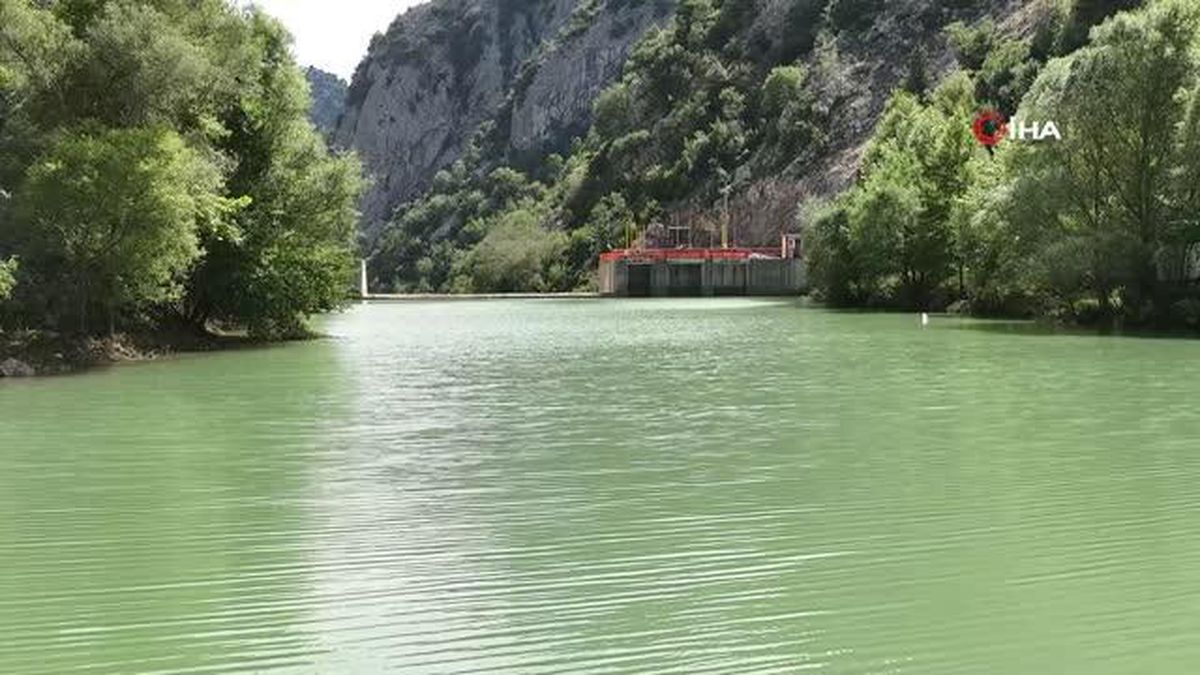 Tahta Barajı'na 20 bin pullu sazan balığı yavrusu bırakıldı