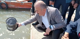 Tokat'ta Almus Baraj Gölü'ne 800 Bin Yavru Sazan Bırakıldı