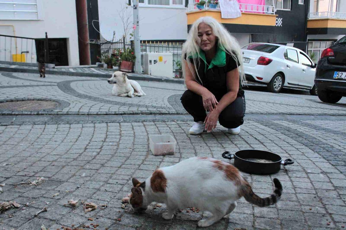 Ordu'da 19 yıldır sokak kedilerine bakan kadın