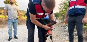 Dünya Bankası'ndan emekli ekonomist Korhan Berzeg'in kaybolması