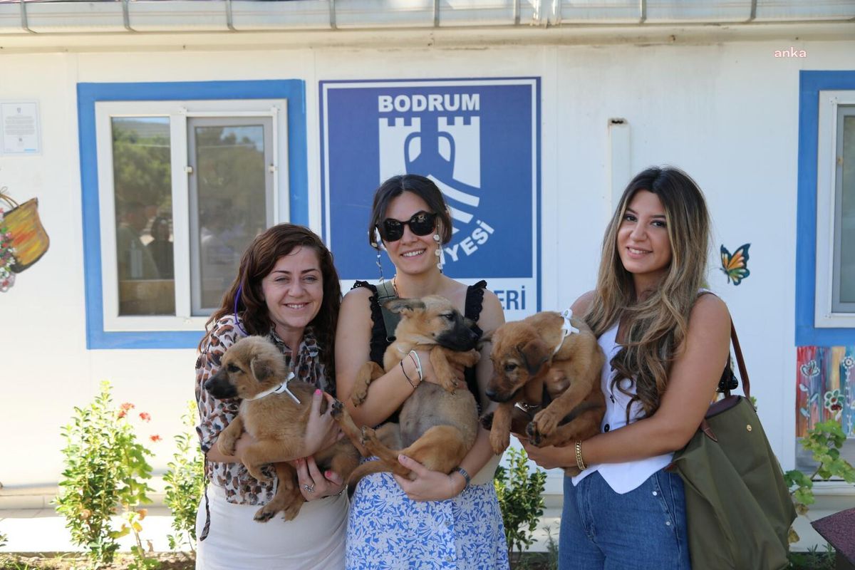 Bodrum Belediyesi, şiddet mağduru kadınlara köpek yavrusu sahiplendirdi