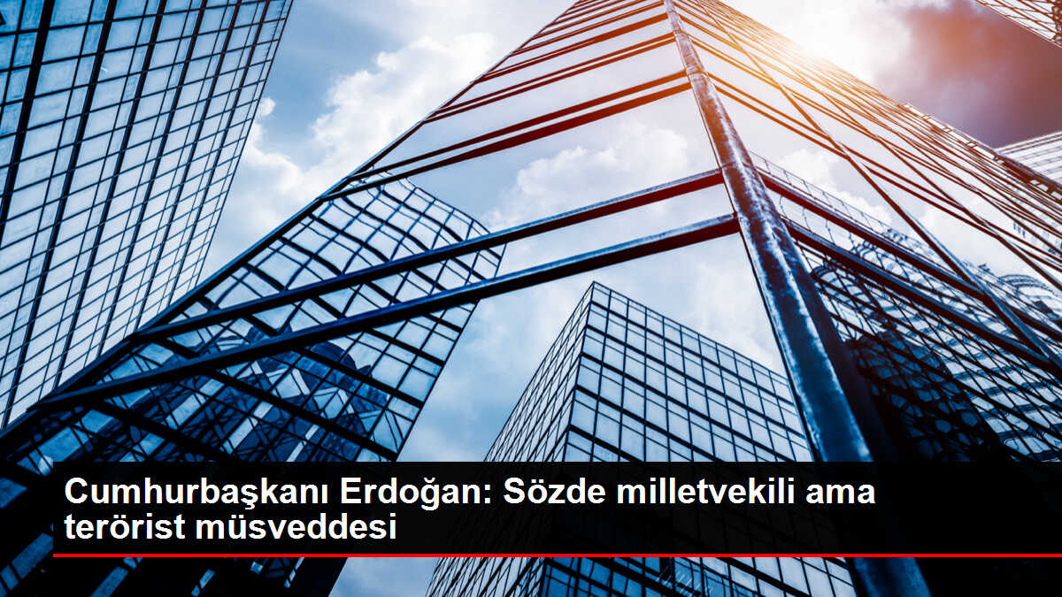 Cumhurbaşkanı Erdoğan: Sözde milletvekili ama terörist müsveddesi