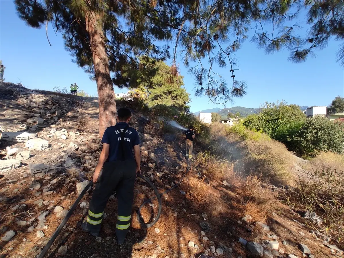 Hatay'da ağaçlık alanda çıkan yangın söndürüldü
