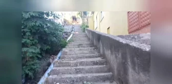 Samsun'un Canik İlçesinde Evlerine 170 Basamak Merdiven Çıkarak Ulaşabilen Vatandaşlar Tepkili: 'Cenazemizi Bile Aşağı Yoldan Kaldırıyoruz'