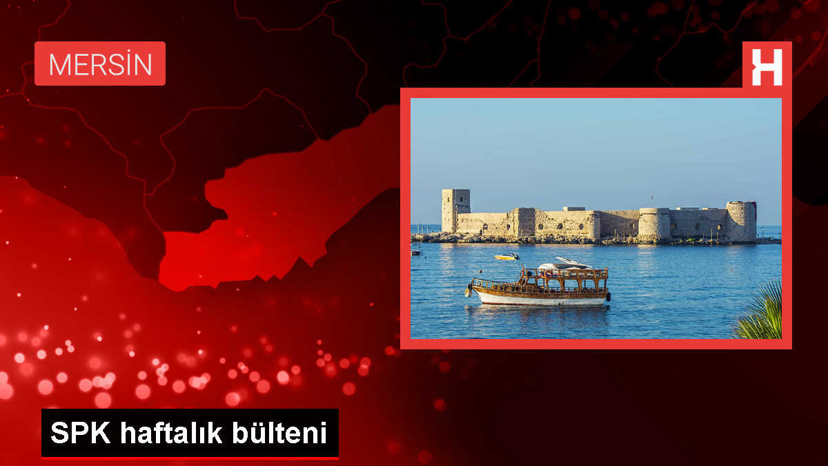 SPK, DMR Unlu Mamuller'in halka arzını onayladı