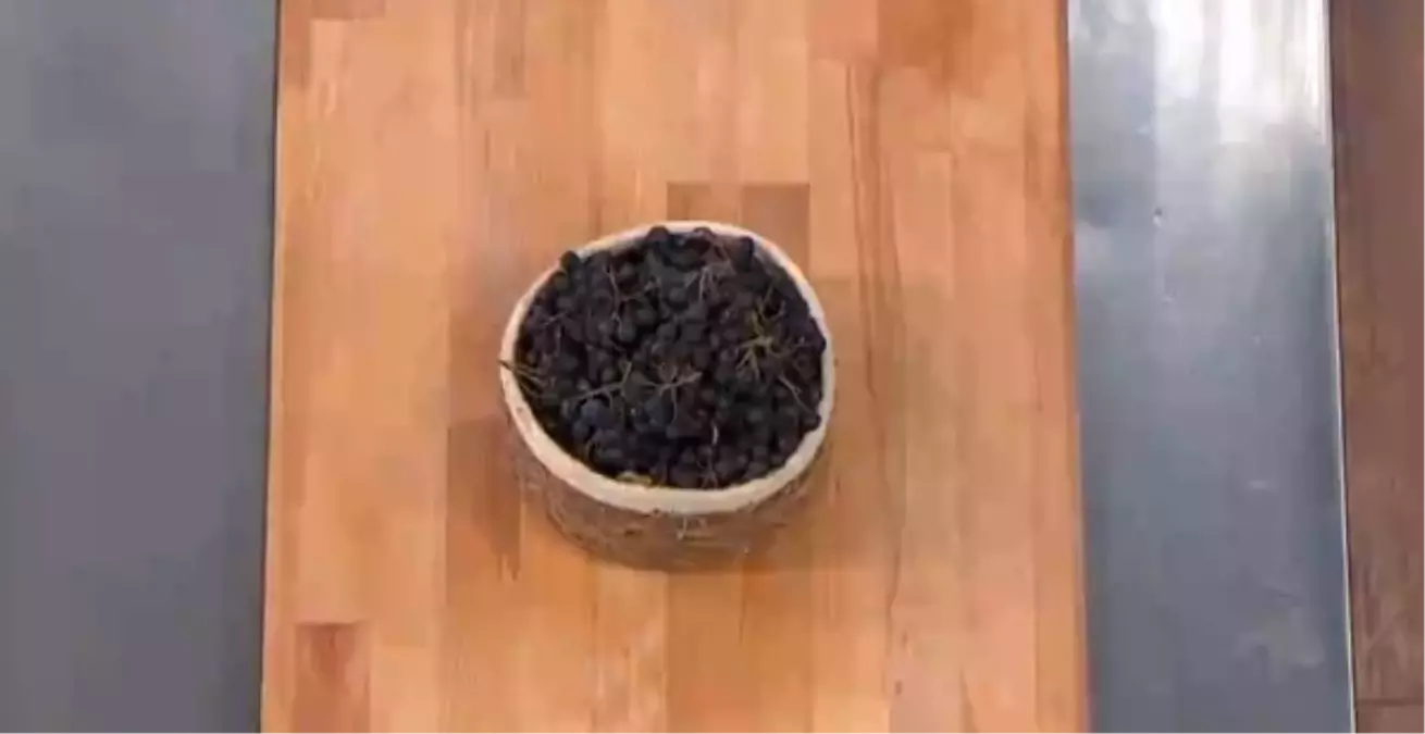 Yalova Aronyası nedir, faydaları nelerdir?