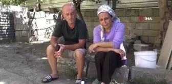 Böceklerin İstilasıyla Mücadele Eden Aile Tedavi Olmak İstiyor