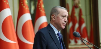 Cumhurbaşkanı Erdoğan'ın danışmanları kimler? Cumhurbaşkanı Erdoğan'ın hangi danışmanları değiştirildi?