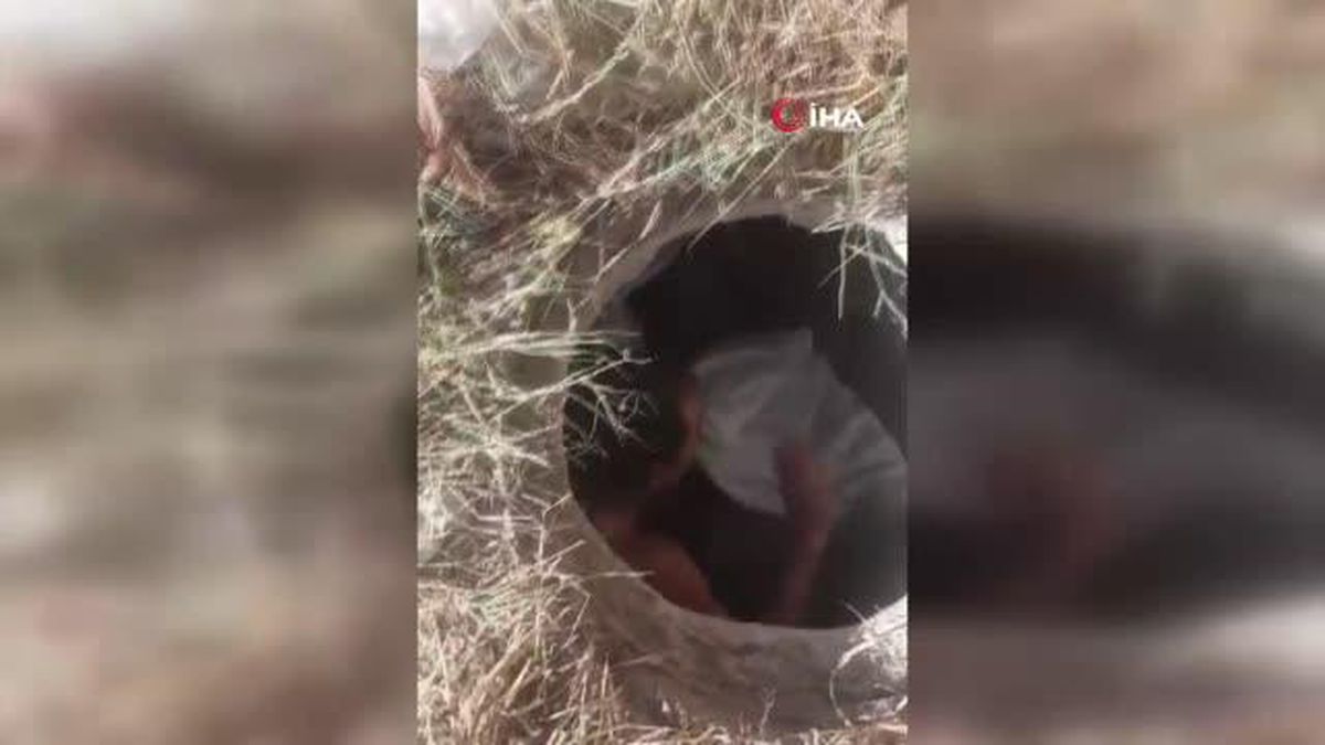 Esenyurt'ta rögardan mülteci çıktı