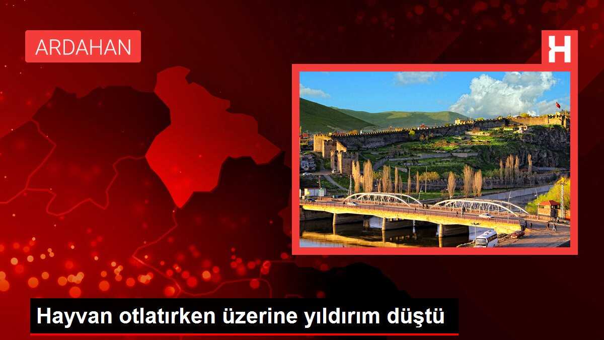 Hayvan otlatırken üzerine yıldırım düştü