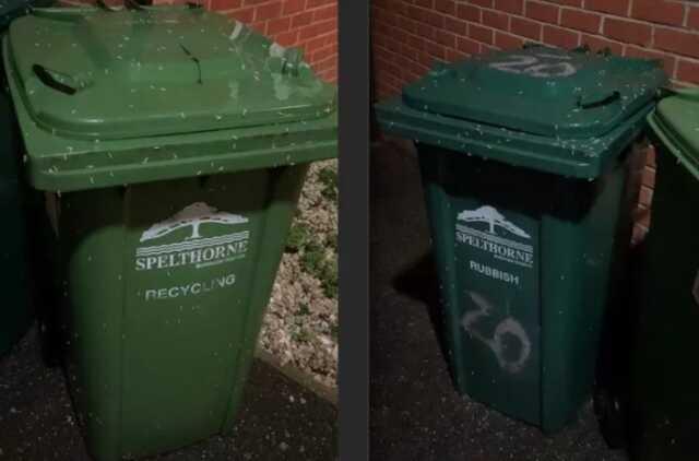 İngiltere'de sıcak hava dalgası sonrası gökten kurtçuk yağması vatandaşları tedirgin etti İngiltere'de sıcak hava dalgası sonrası gökten kurtçuk yağması vatandaşları tedirgin etti