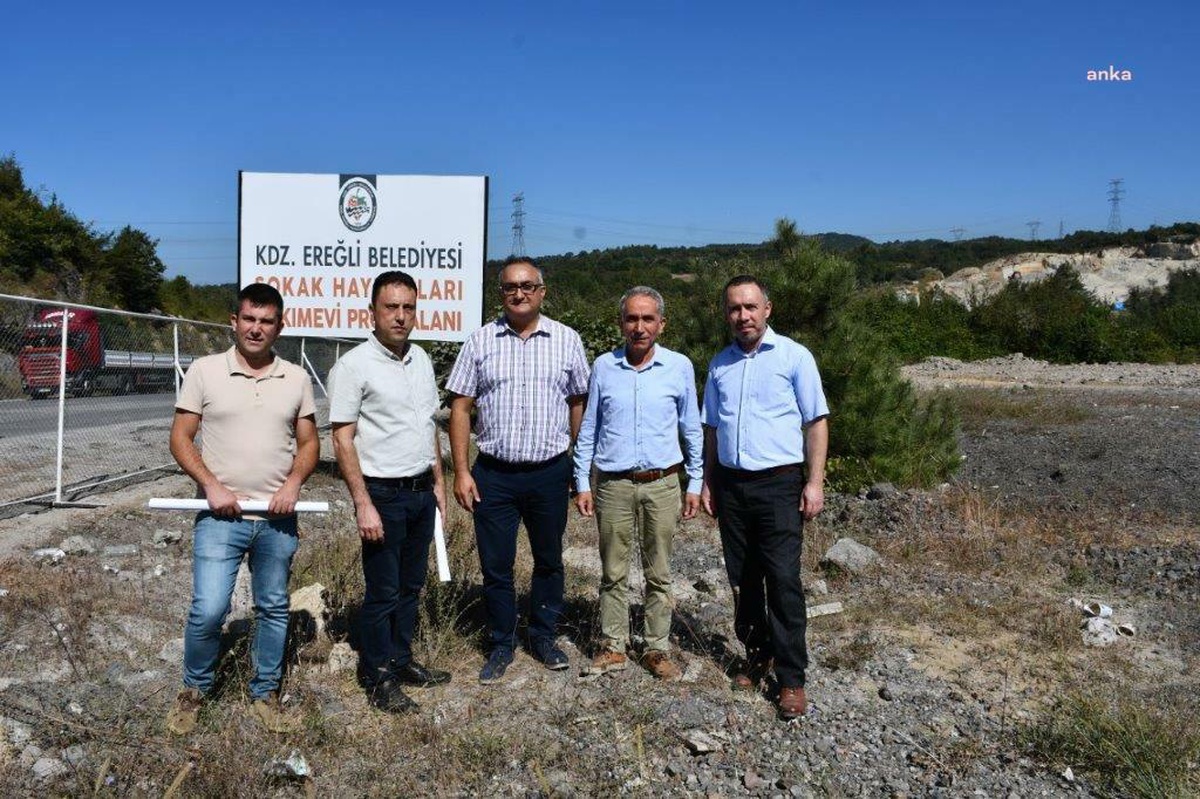 Kdz. Ereğli Belediyesi 30 Dönüm Alan Üzerine Hayvan Hastanesi ve Bakım Merkezi Kuruyor