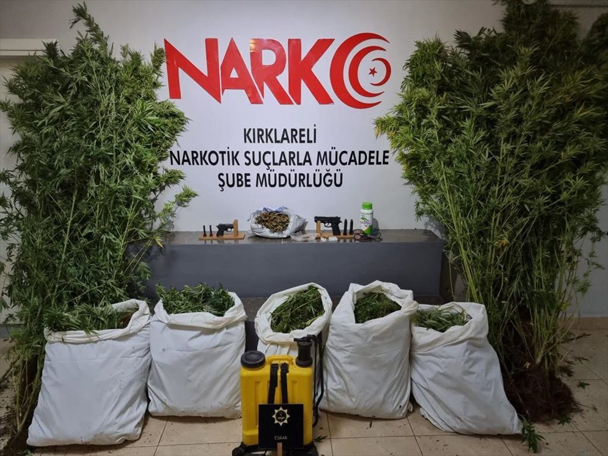 Kırklareli'nde çiftlikte 103 kilogram esrar ele geçirildi